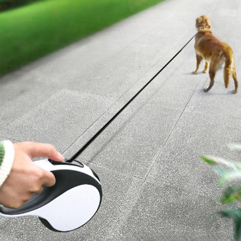 Retractable Dog Leash With Led Light 5 Meters Rechargeable Reflective Dog Walking Leash Pet Supplies White 5 meters