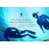 Take stunning 4K footage and crisp photos with the ELE Explorer Pro     the first action camera with voice control