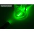 The Astronomy Grade Green Red Laser Pointer Pen  50mW  comes in a nice compact presentation style case and it   s a perfect gift for high tech gadget lovers 
