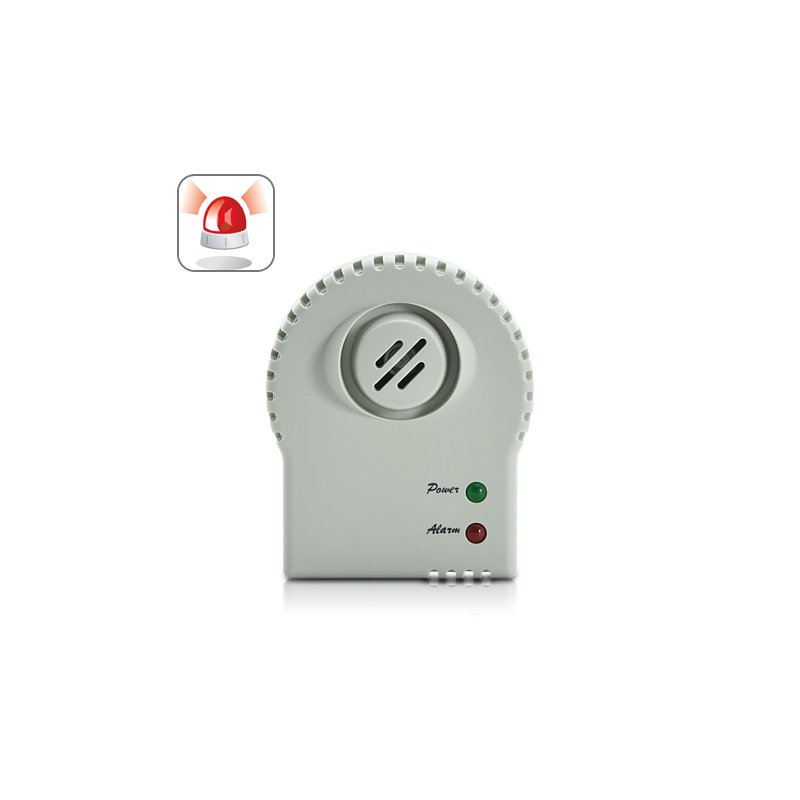 CO Alarm