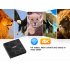 The M96X Mini TV Box is a stunning 4K Android TV Box that lets you browse the web  play games  and watch breathtaking movies on your big screen TV 