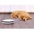 The Mijia Xiaowa Automatic Cleaning Robot is an intelligent vacuum that automatically cleans your house when you   re not around  
