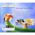 The OUKITEL 4000K is tough  beautiful and functional  With a huge 4000Mah battery  5 inch tempered glass screen and 4G  what more could you ask for 
