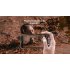 The Ulefone Armor is an extremely durable IP68 Rugged phone that features an Octa Core CPU  Dual IMEI  4G  SOS features  a massive battery and a whole lot more 