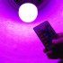 The newest offering in our famous series of Color Changing LED  Lights
