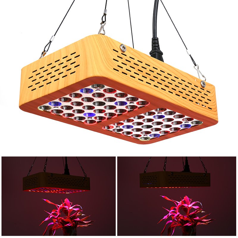 300W LED Grow Light