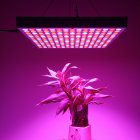 This 45Watt LED Grow Light comes with a total of 225 Blue and Red LED lights to stimulate the growth  flowering  and yield of your plants 