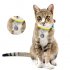 This Anti Loss Dog Pendant is the perfect gadget for your pet to make sure he ll always find his way back home safe  