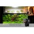 This Automatic Fish Feeder automatically dispenses fish food and is excellent for people who have busy lifestyles and still want to take care of their fish
