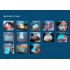 This Handheld Vein Finder allows you to easily locate the veins of your patient underneath his or her skin  It is 100  radiation free and safe to use 