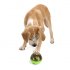 This Treat Dispensing Dog Toy is a great chewing toy that will keep your dog busy while simultaneously developing his IQ and stamina  