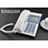 This business desk phone is the perfect phone for people who always work from their desk  The ultimate solution for your business and daily communication 