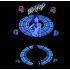 This sound activated electro luminescence shirt  EL Shirt  produces an attractive spectrum of colors that is guaranteed to attract major attention at parties  c