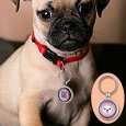 Anti-Loss Dog Pendant
