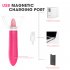 Tongue Licking Vibrator with 10 Mode Clit Stimulator G Spot Nipple Masturbator Rose Red