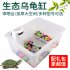 Tortoise Feeding Box with Climbing Platform Mini Reptile Aquarium House M