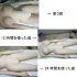 Tpe Sex Doll Repair Kit Glue For Real Love Sexy Silicone Sex Doll Color Removal Paste 10g