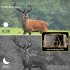 Trail Camera Night Vision Digital Binoculars for Complete Darkness  8K Video 60MP Pictures Camera for Outdoor Scouting PR801