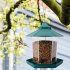 Transparent Bird Feeder Waterproof Hanging  Feeder For Outdoor Balcony green 20 18 23