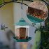 Transparent Bird Feeder Waterproof Hanging  Feeder For Outdoor Balcony green 20 18 23