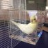 Transparent Pet Bird Bath House with Hanging Hooks for Parrots Cockatiels Parakeets large