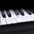 Transparent Piano Keyboard Sticker 88 Keys Electronic Keyboard Piano Sticker  Color