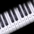 Transparent Piano Keyboard Sticker 88 Keys Electronic Keyboard Piano Sticker  Color