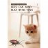 Tricky Toy Induction Cockroach Halloween Scary Toy Pet Toy