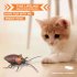 Tricky Toy Induction Cockroach Halloween Scary Toy Pet Toy
