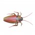 Tricky Toy Induction Cockroach Halloween Scary Toy Pet Toy
