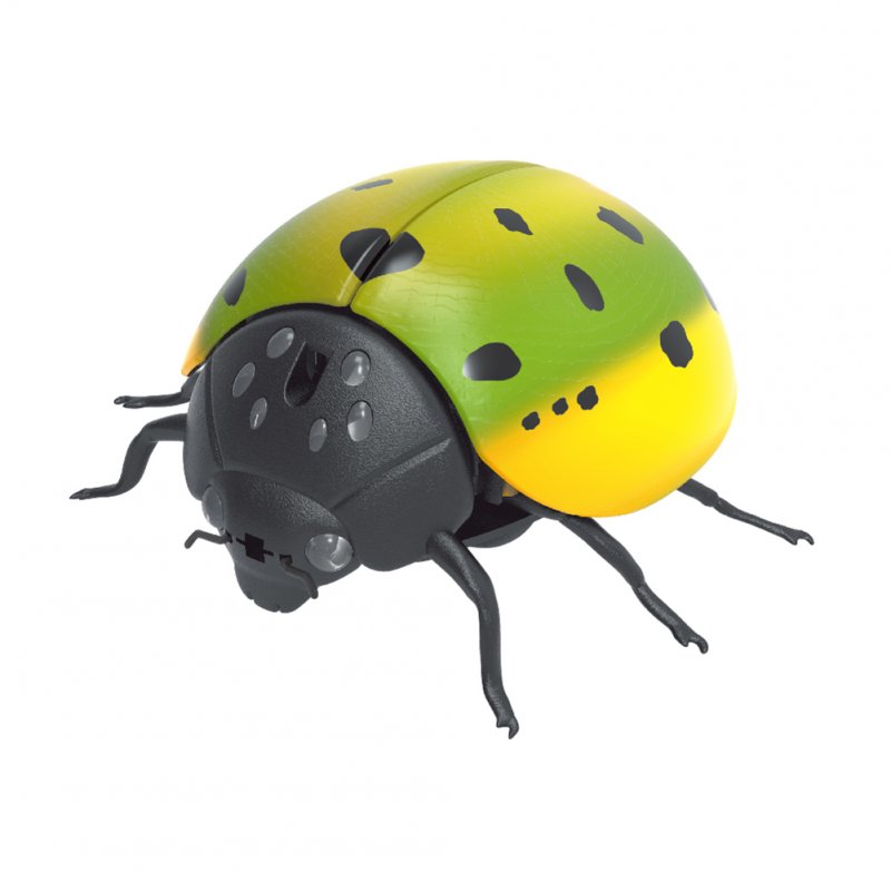 Tricky Toy Induction Ladybird Halloween Scary Toy Pet Toy