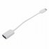 Type C To OTG Adapter Cable Mouse Keyboard OTG Adapter Usb Adapter Converters White
