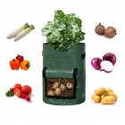 US 10 Gallon Potato Planting Bag For Vegetable Onion Plant  Growth  Pouch With Handle Green 10 gallons British