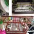 US 100 Pieces Wooden Parrot Bird  Pad  Disposable Absorbent Fecal Tray Fecal Paper  Cuttable Pet Pad Cloth Bird Cage Cushion Supplies Small  22x15 