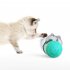 US 2 Pcs set Dog Toy Training Pet Professional Supplies Tumbler Food Spilling Ball   Luminous Pendant  random Color  Green Leaky Ball   Random Color Pendant