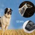 US 2in1 Dog Pet Puppy Cat Training Clicker Whistle Click Trainer Obedience Black black