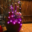 US WHIZMAX 2m 20led Dual-mode Spider String  Lights Halloween Decorations For Outdoor Indoor Ghost