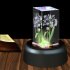 US 4 LED Luminous Base Light Colorful Round Stand Base for Cocktail Crystal Glass Transparent Objects Display Colorful Gradient