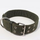 US Adjustable Exquisite Pet Dog Leather Collar Firm Dog Strap for Middle-large Dog Pet Supplies Green L