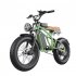 US All Terrain off Road Electric Bike 1400w Powerful Motor 7 Speed Gears Fat Tires Electric Mountain Bike Green