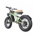 US All Terrain off Road Electric Bike 1400w Powerful Motor 7 Speed Gears Fat Tires Electric Mountain Bike Green