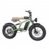 US All Terrain off Road Electric Bike 1400w Powerful Motor 7 Speed Gears Fat Tires Electric Mountain Bike Green