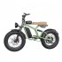 US All Terrain off Road Electric Bike 1400w Powerful Motor 7 Speed Gears Fat Tires Electric Mountain Bike Green