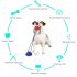 US Dog Chew Molar Toy with Double Suction Cup Pet Aggressive  Chewers Bite Interactive Squeaky Ball Toys American Blue A type single suction cup   single ball