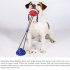 US Dog Chew Molar Toy with Double Suction Cup Pet Aggressive  Chewers Bite Interactive Squeaky Ball Toys American Blue A type single suction cup   single ball