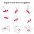 US EUPHER Rabbit Vibrator Vibrator Dildo with 10 Powerful Vibration Rechargeable G Spot Vibrator with Dual Motor Waterproof Anal Clitorals Stimulator Adult Sex 