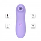 US EUPHER WY0575 Single Silicone ABS Plastic 10 Frequency Vibration Sucking Massager Purple