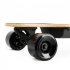 US Electric Skateboard 1200w Brushless Motor 25mph Top Speed 5 Layer Maple Electric Skateboard with RC