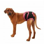 US Female Breathable Physiological Pants for Small Meidium Pets Dogs black L