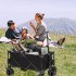 US Folding Cart Large Capacity Adjustable Handle Front Swivel Wheels Outdoor Camping Beach Carts Creamy White